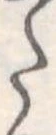 Đã định vị 𛁠
