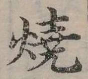 位置 確認된 燒