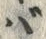 𡨸バ