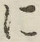 字に