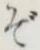 字ぞ