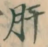 글자 肝