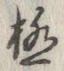 已定位極