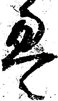 已定位畳