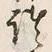 𡨸蝦