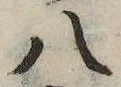 八，已得其位