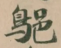 𪁗の位置