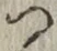 字つ