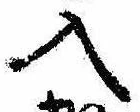 位置 確認된 入