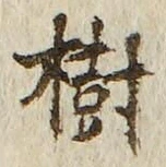 글자 樹