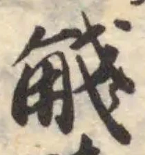 𧣴の位置