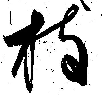已定位枝