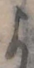 미지정 위치 확인됨