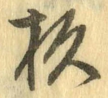 杉 위치 확인됨