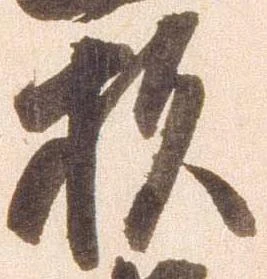 已定位杉