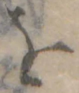 位置定マレル𛄜