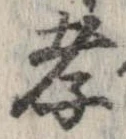 Đã định vị 孝
