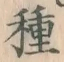 글자 種