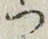 文字 つ