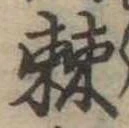 棘の位置
