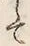 “て”字