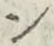 “ン”字