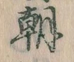 位置定マレル朝