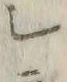 글자 シ