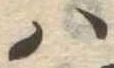 𛂞 위치 확인됨