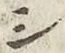 字シ