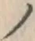 字ノ