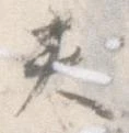 夾 위치 확인됨