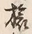 글자 旅