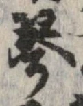 琴 위치 확인됨