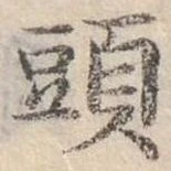 頭 위치 확인됨