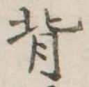 背 위치 확인됨