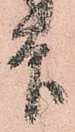 已定位印