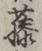 藤の位置