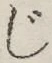 글자 じ