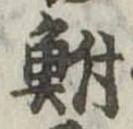 鮒 위치 확인됨