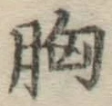 글자 胸
