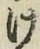 字け