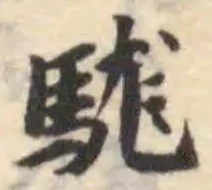 駹 위치 확인됨