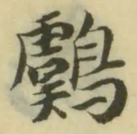 鸆 위치 확인됨