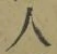 文字 人