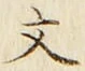 글자 文