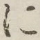 글자 に
