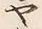 文字ヤ