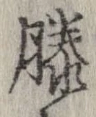 Đã định vị 膝