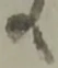 處 위치 확인됨
